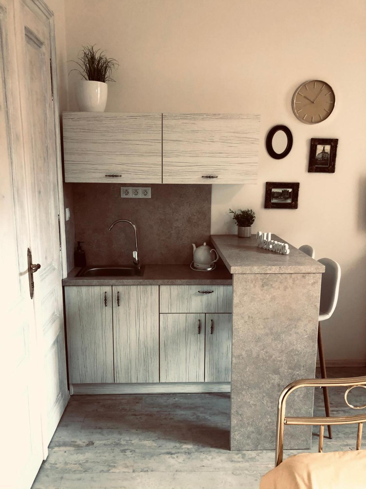 Tomas Silver Apartment Karlovy Vary